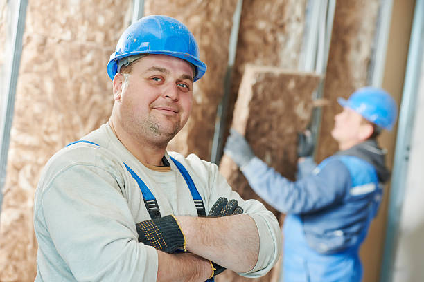 Best Insulation Maintenance and Repair in Svis, IL